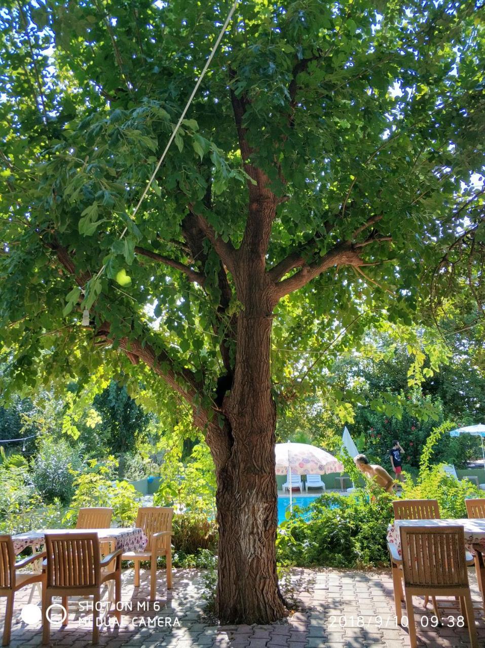 Fire Pansiyon Çıralı Buitenkant foto